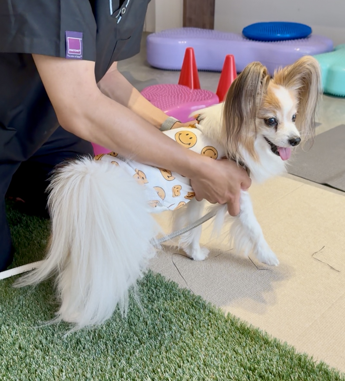 ギャラリー