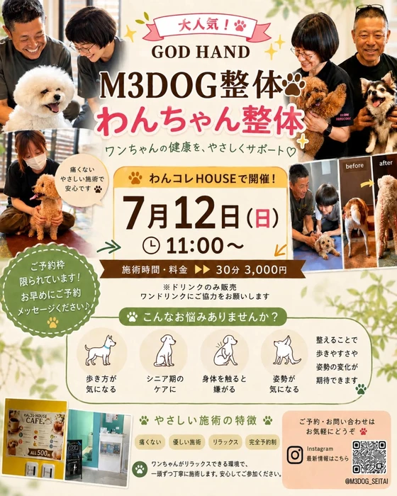 画像283
