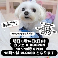 画像285
