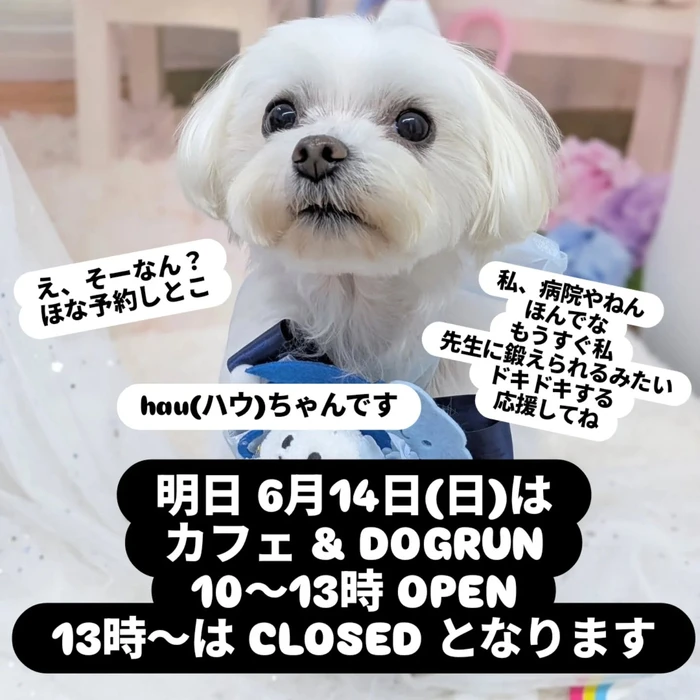画像285