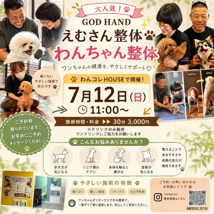画像289