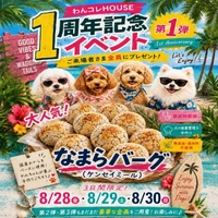 画像291