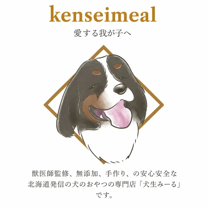 画像292