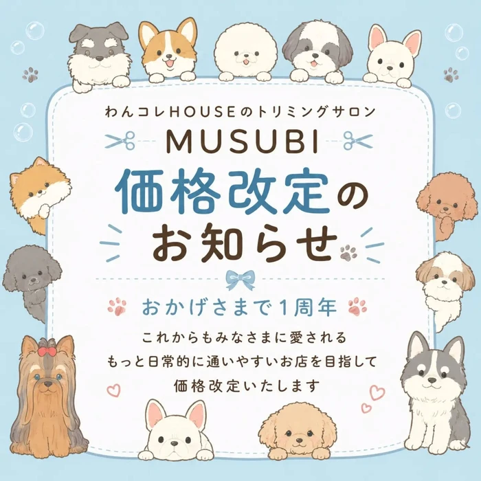 画像294