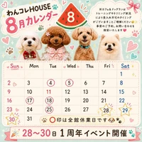 画像296