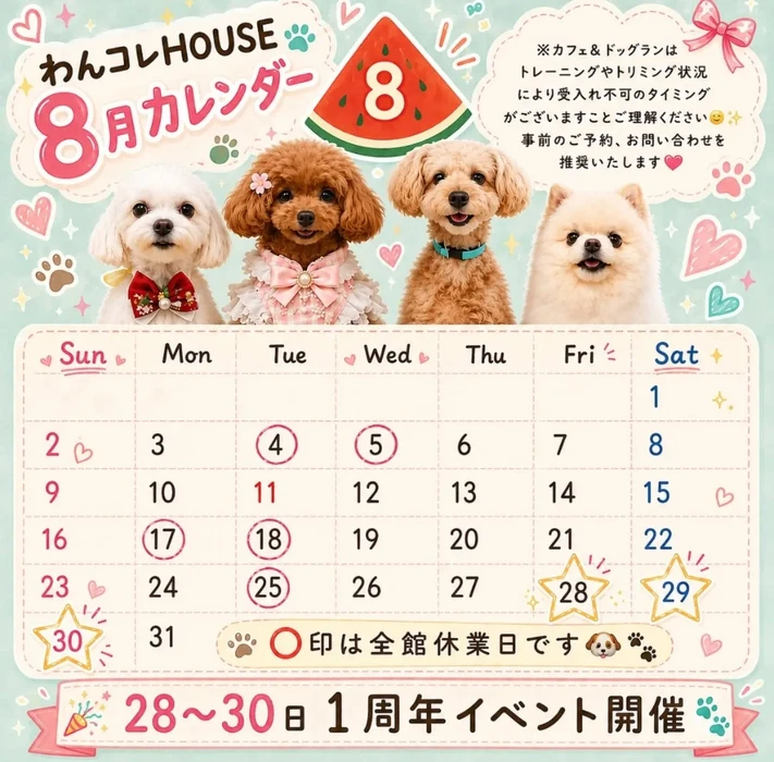 画像296