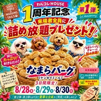 画像305