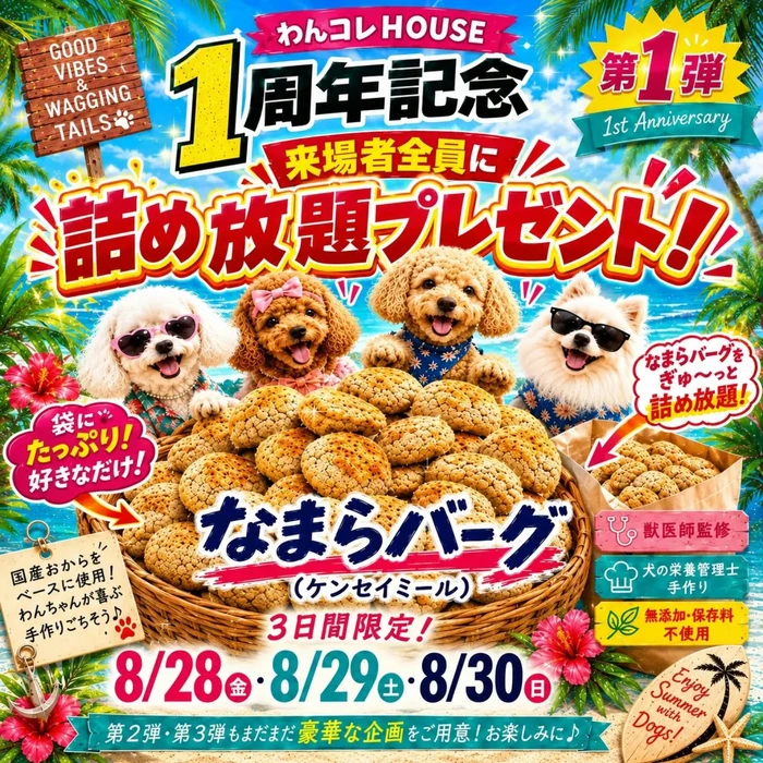 画像305