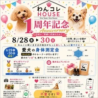 画像307