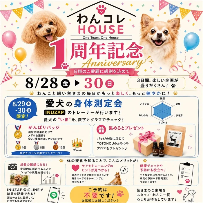 画像307