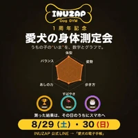 画像308