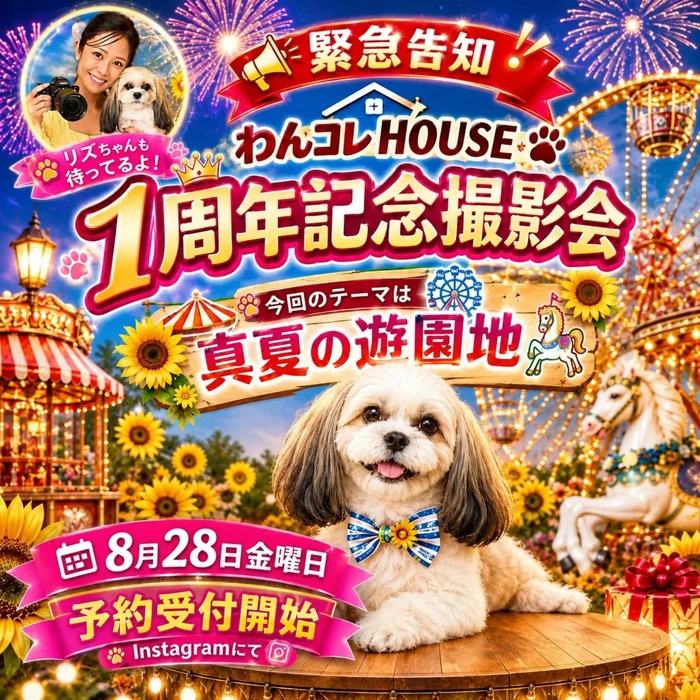 画像314