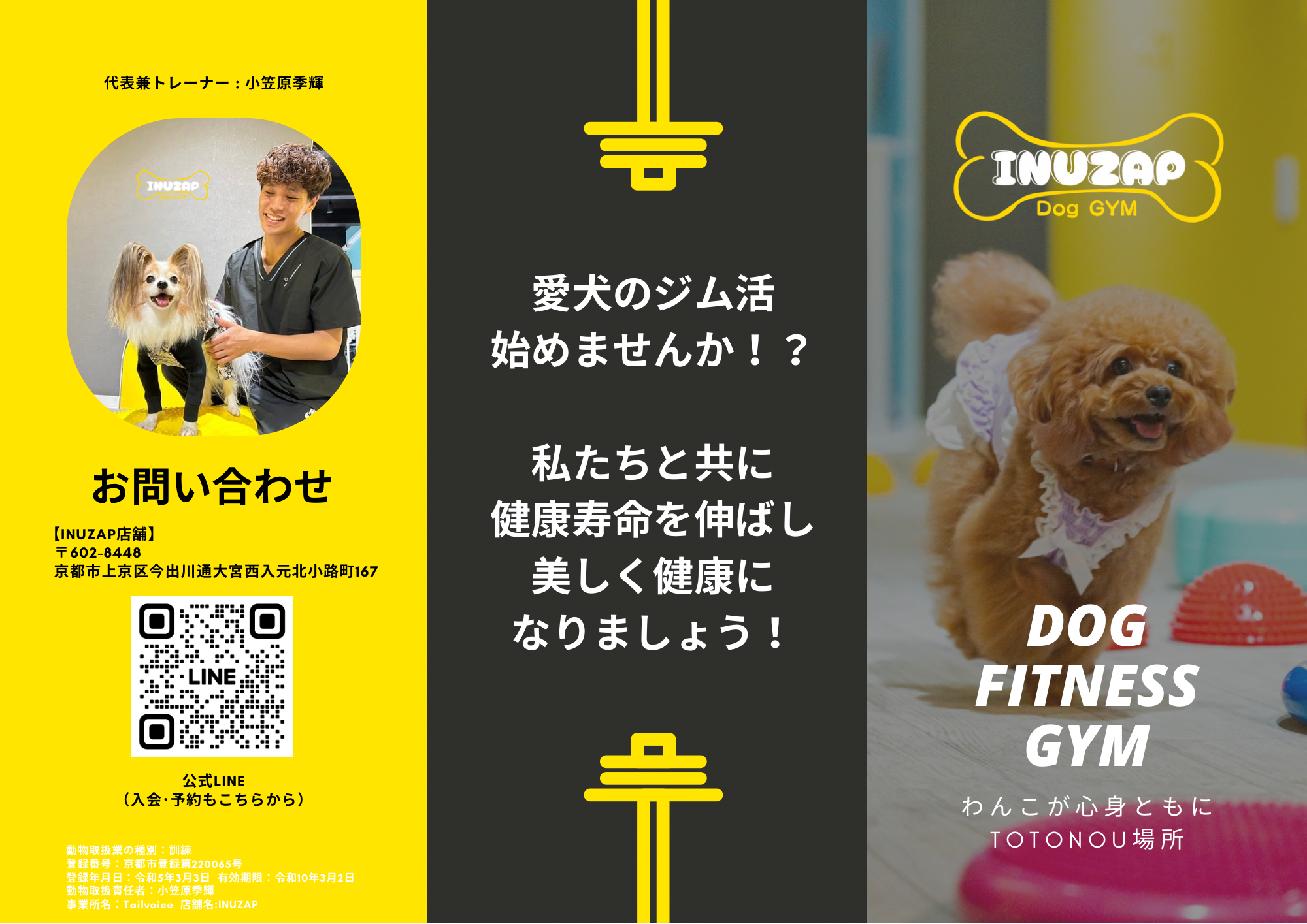 今すぐ問い合わせて愛犬の健康を守ろう！