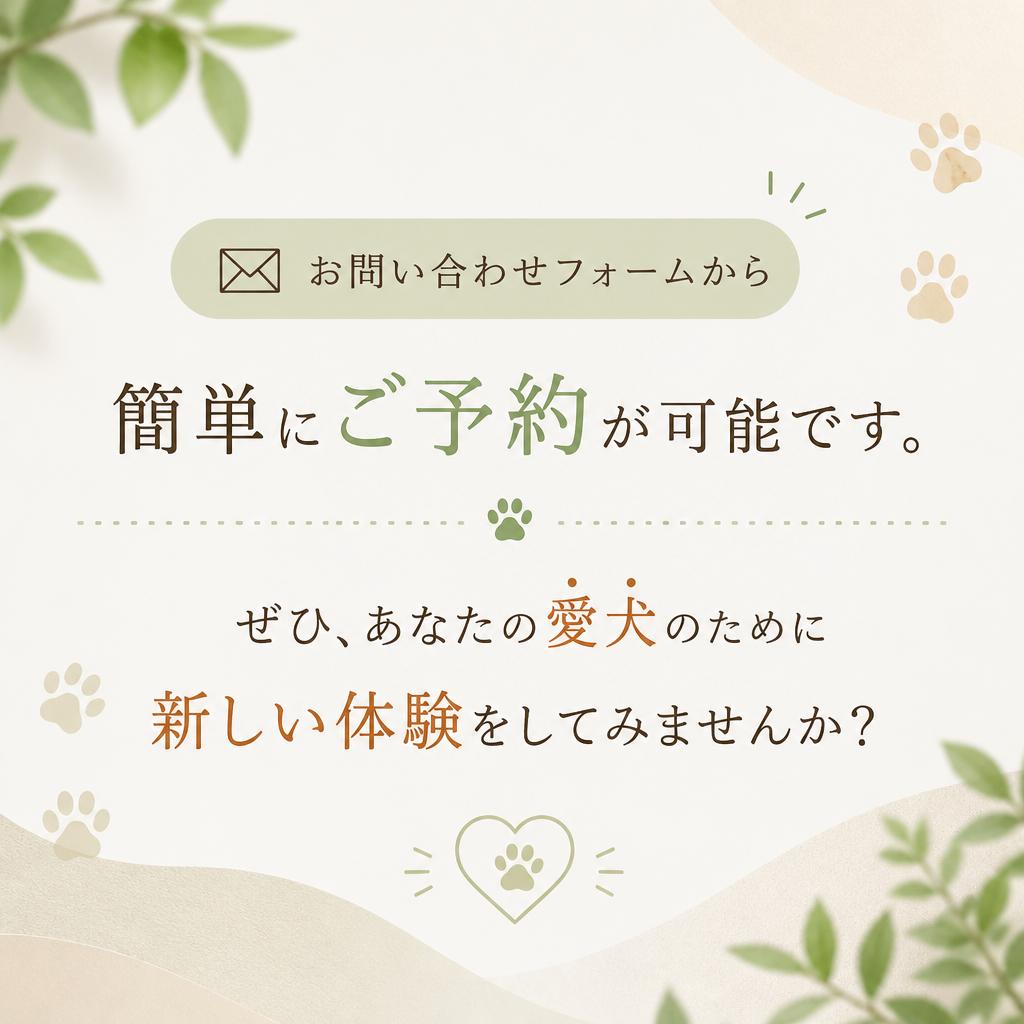 今すぐ愛犬の未来をより素敵に