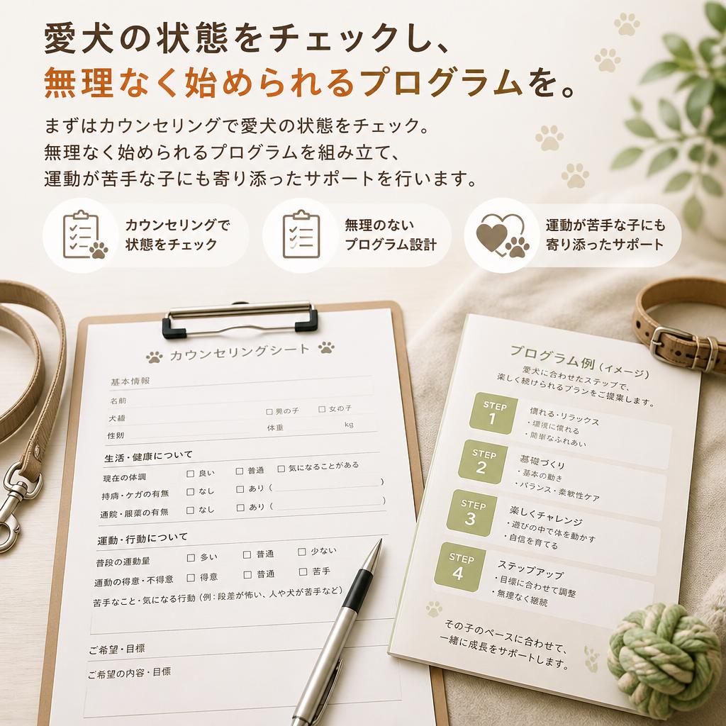 トレーニングの流れ