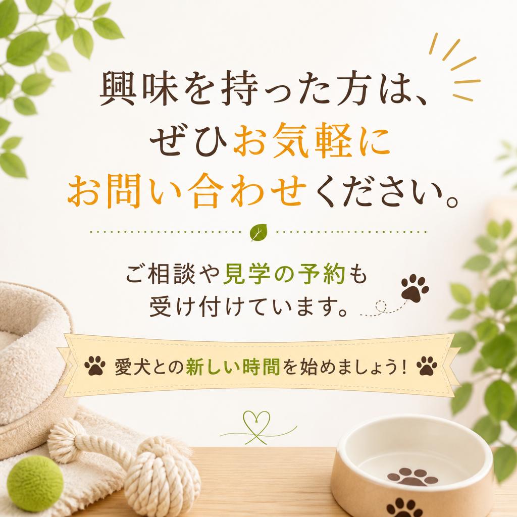 今すぐお問合せを！