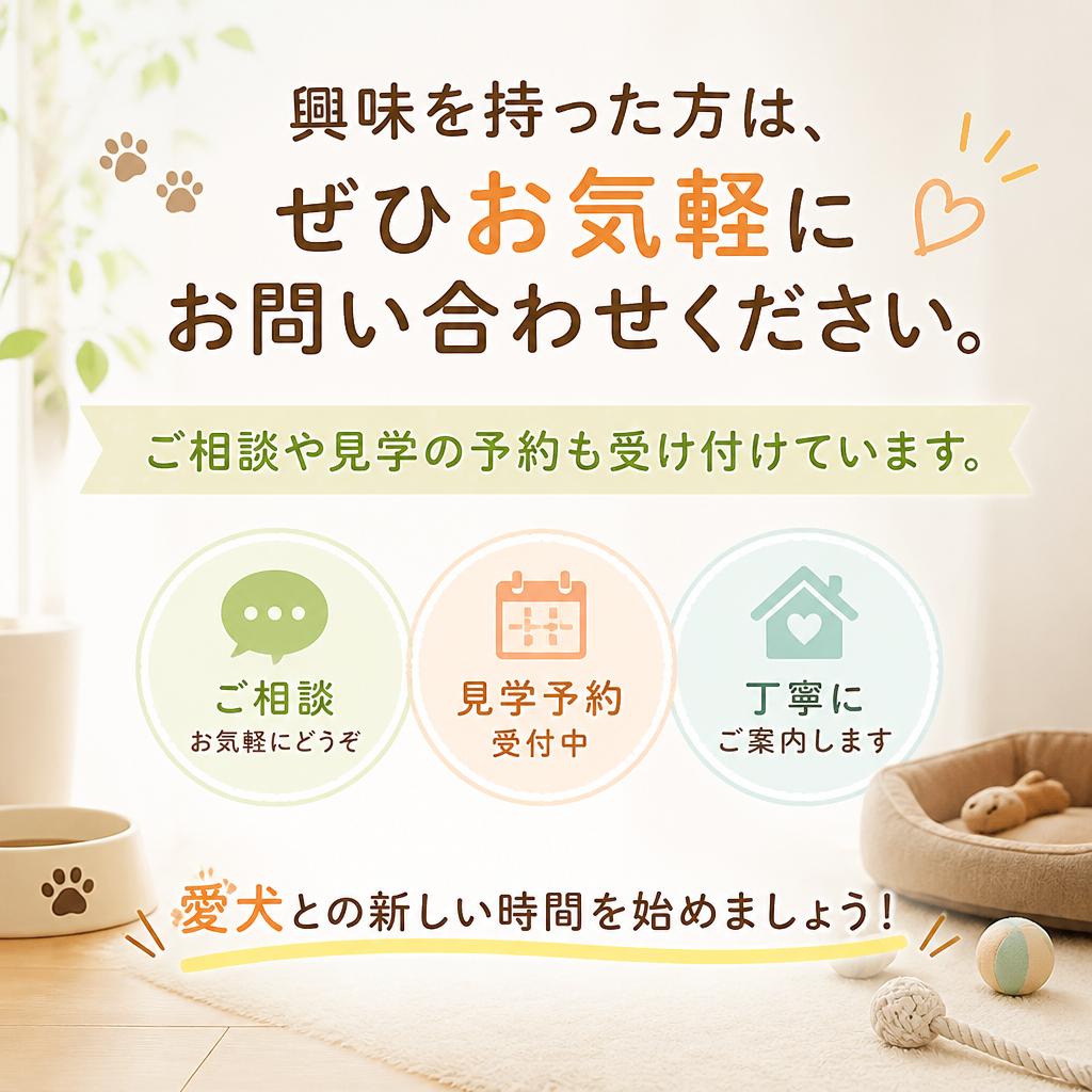 今すぐお問合せを！