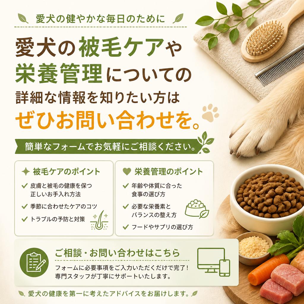 お問い合わせ・ご予約はこちらから