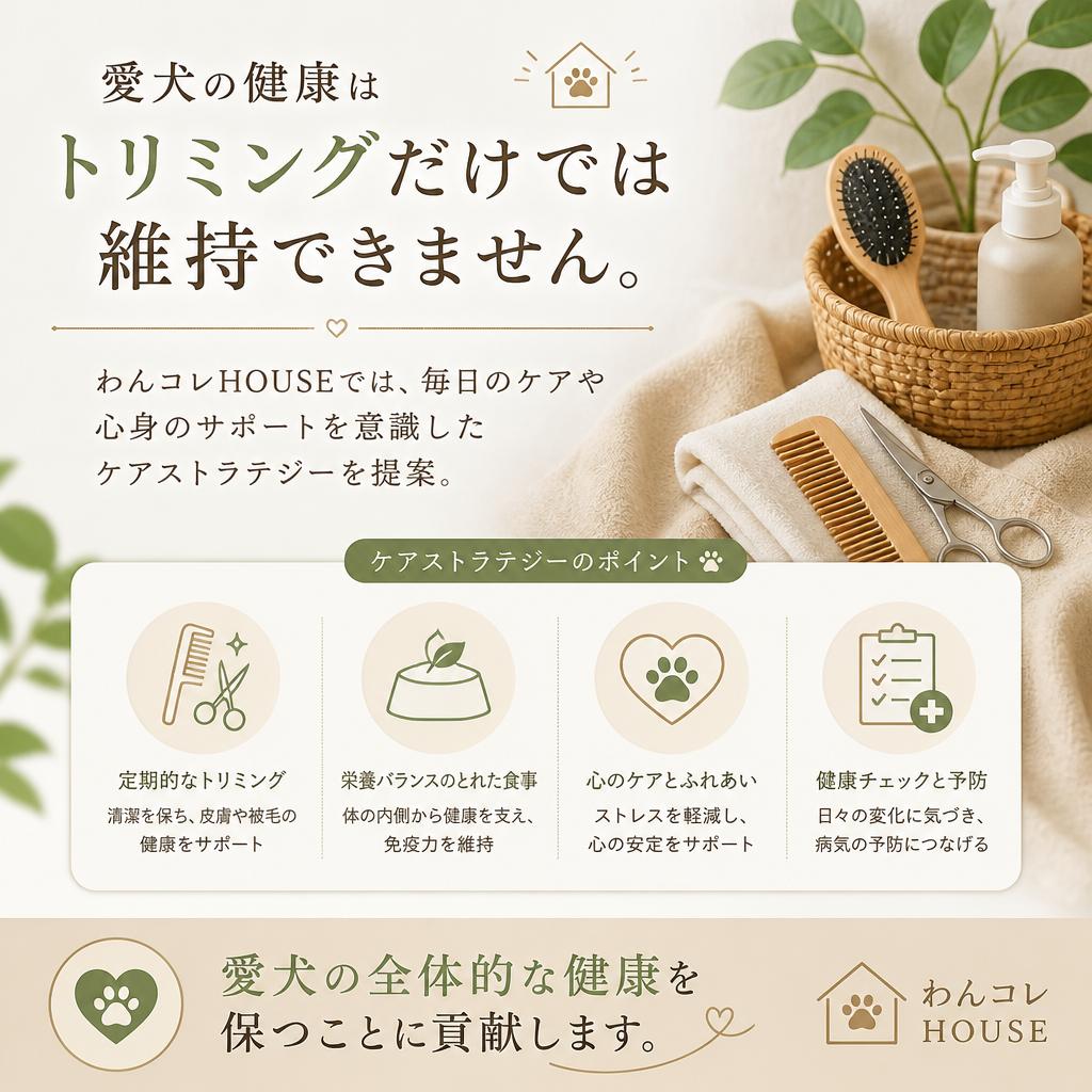 ケアストラテジーで健康をサポート