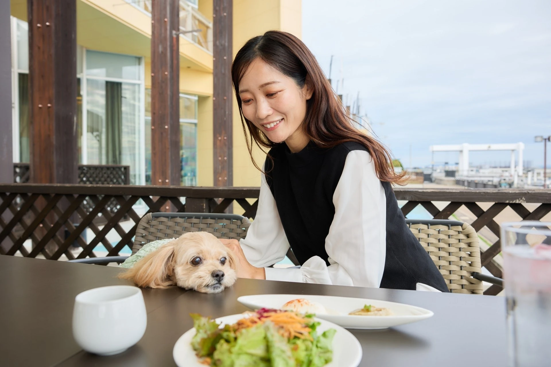 imgi_3_image