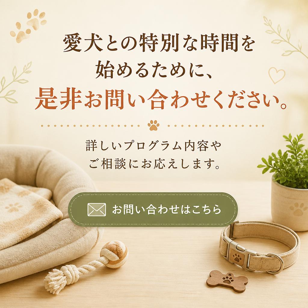 今すぐ問い合わせ！