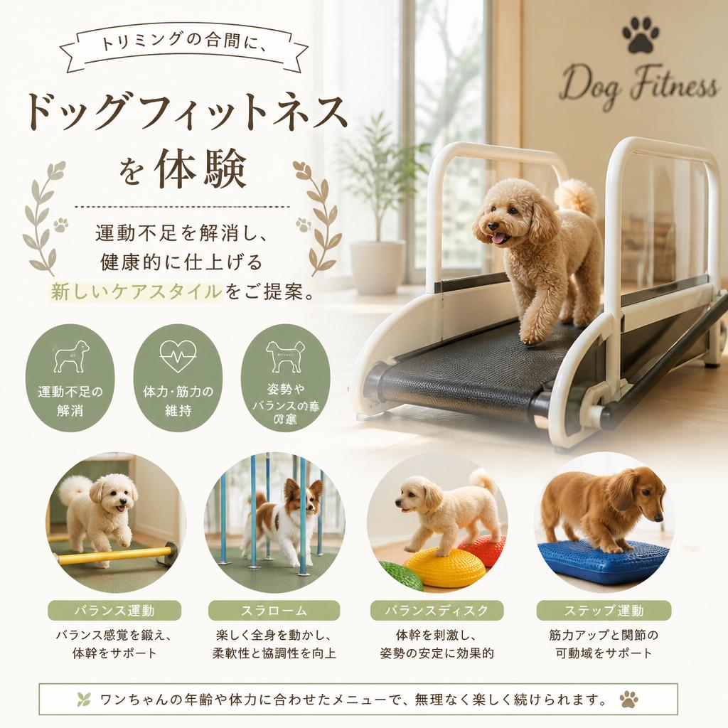 ドッグフィットネスとのコラボ体験