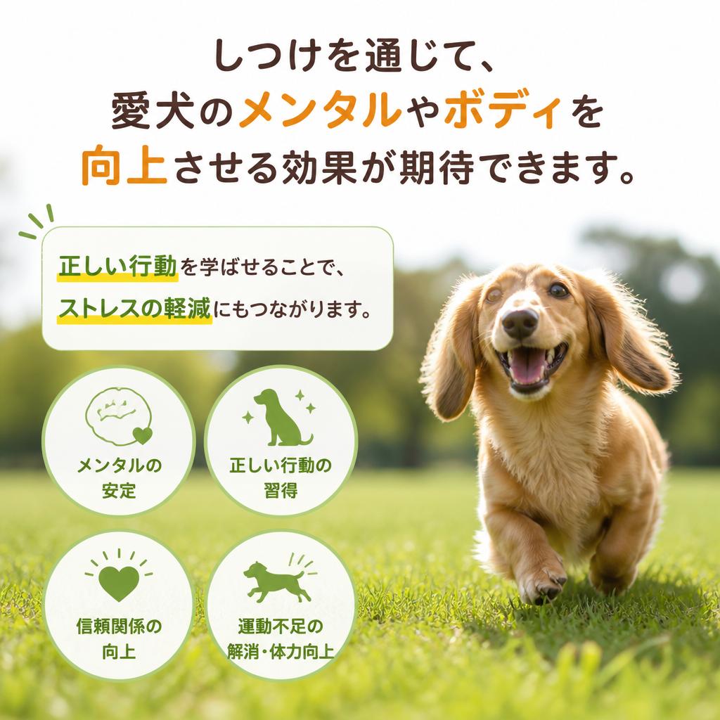 トレーニングの効果