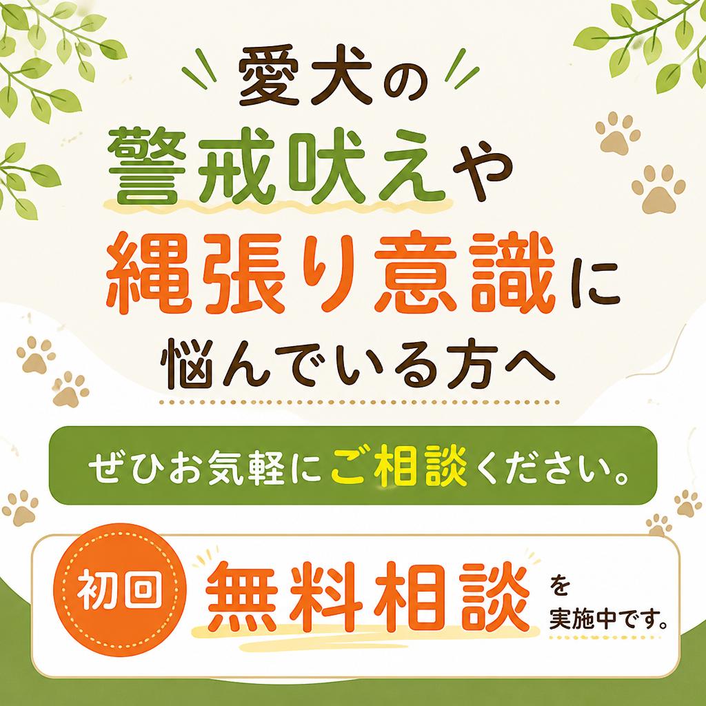 今すぐお問い合わせを！