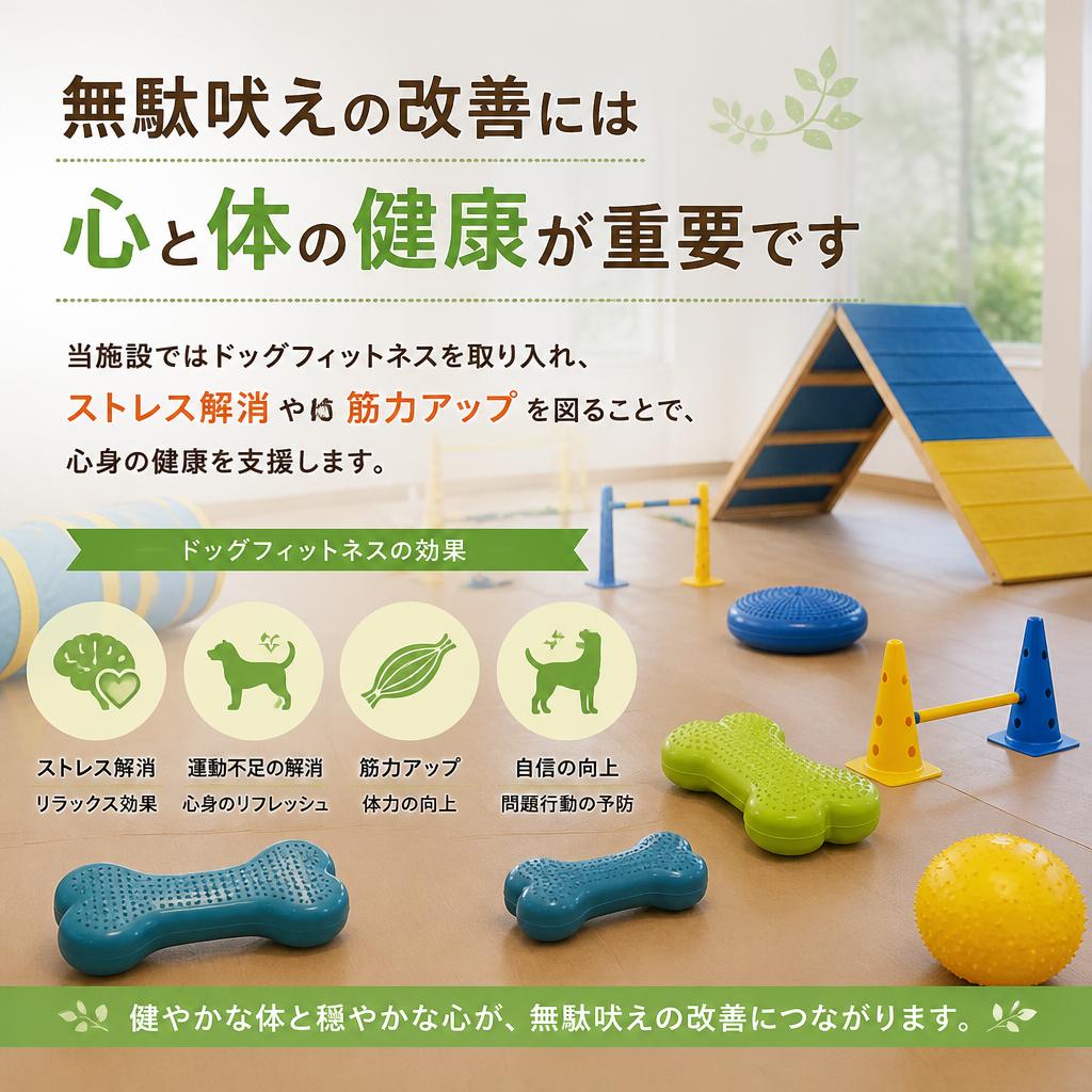 体のケアも合わせて行う
