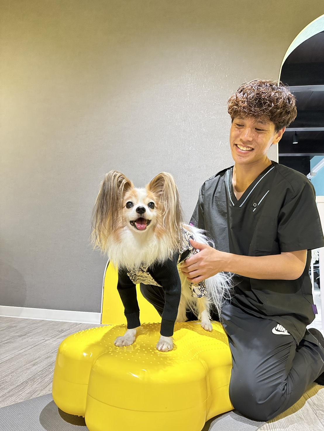 京都の子犬しつけ教室 トレーニング風景