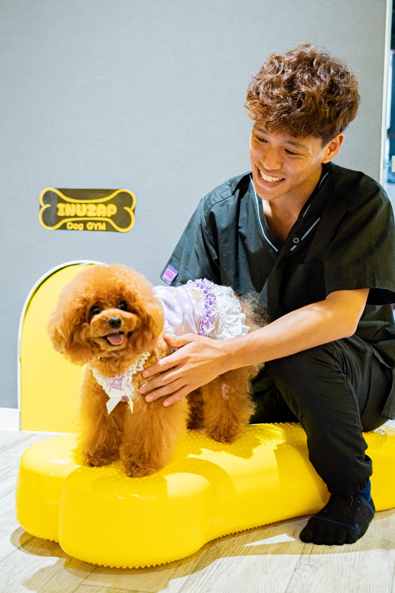 INUZAPの個別トレーニングで落ち着いて過ごす犬